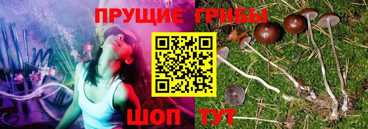 Кольчугино  Псилоцибиновые грибы Psilocybe  купить   Галлюциногенные грибы Magic Shrooms  Вход с VPN 
