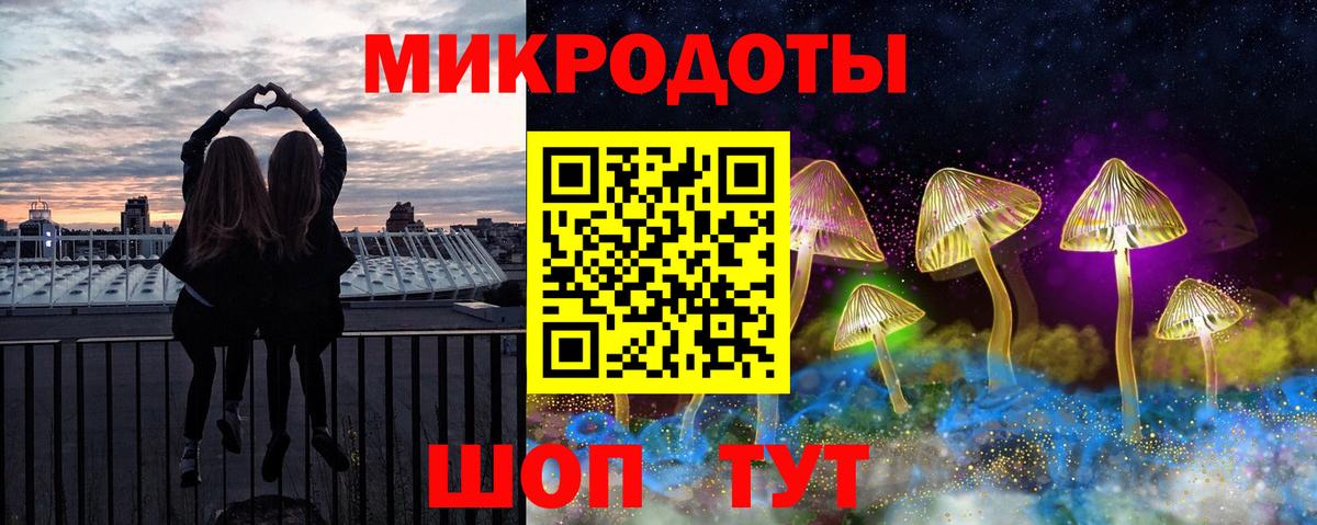Галлюциногенные грибы Psilocybine cubensis Кольчугино